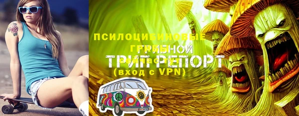 apvp Армянск