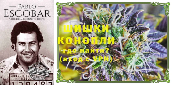круглые Аркадак