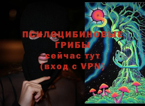 PSILOCYBIN Арсеньев