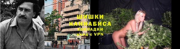 круглые Аркадак