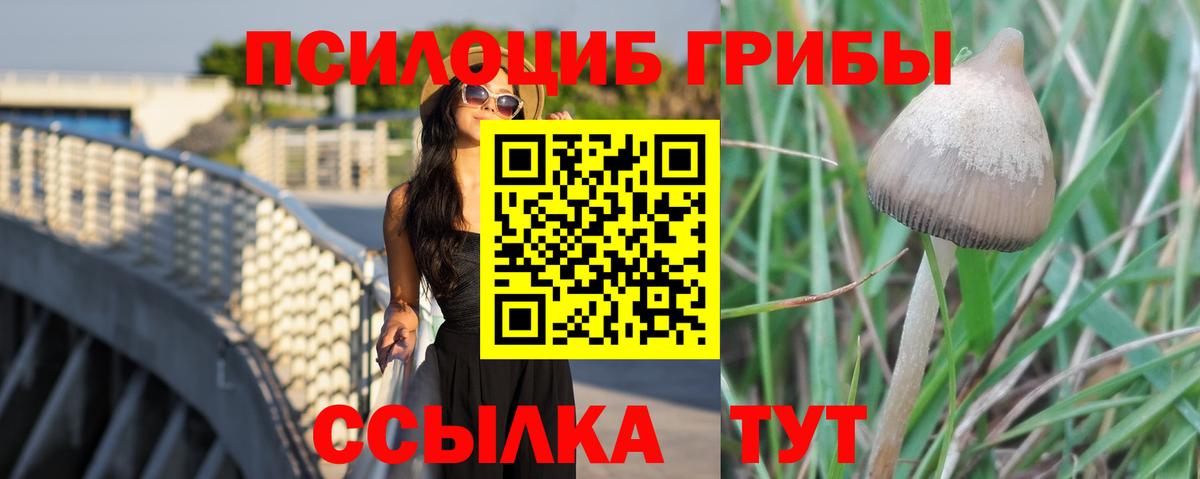 Галлюциногенные грибы мицелий Владивосток